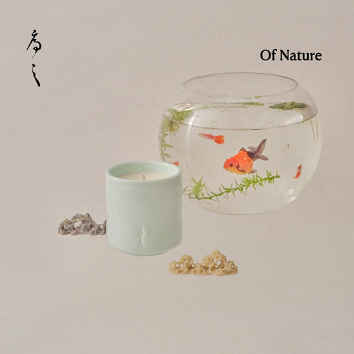序之Of Nature 香氛蜡烛 - 荷塘 - Hues of Dreams