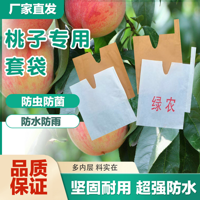 桃子套袋水蜜桃黄桃蟠桃水果套袋