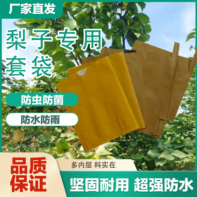 梨子套袋专用袋枇杷袋秋月里套袋
