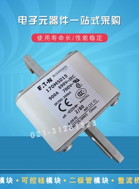 巴斯曼熔断器170M5017 5018 5058 5059 5060 5061 5062 5063 5064