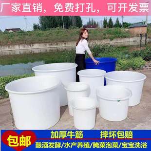 加厚牛筋塑料圆桶水桶发酵酿酒腌菜养殖储水家用叉车大熟胶桶带盖