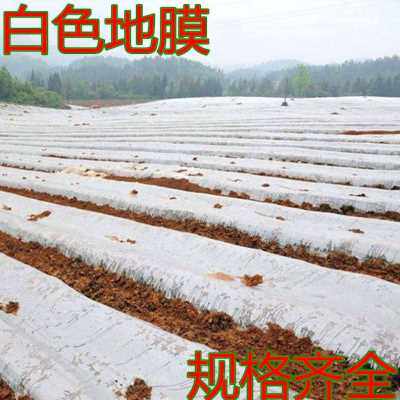 新品厂促农用黑地膜白地膜除草保湿塑料薄膜加厚银黑双色反光地品