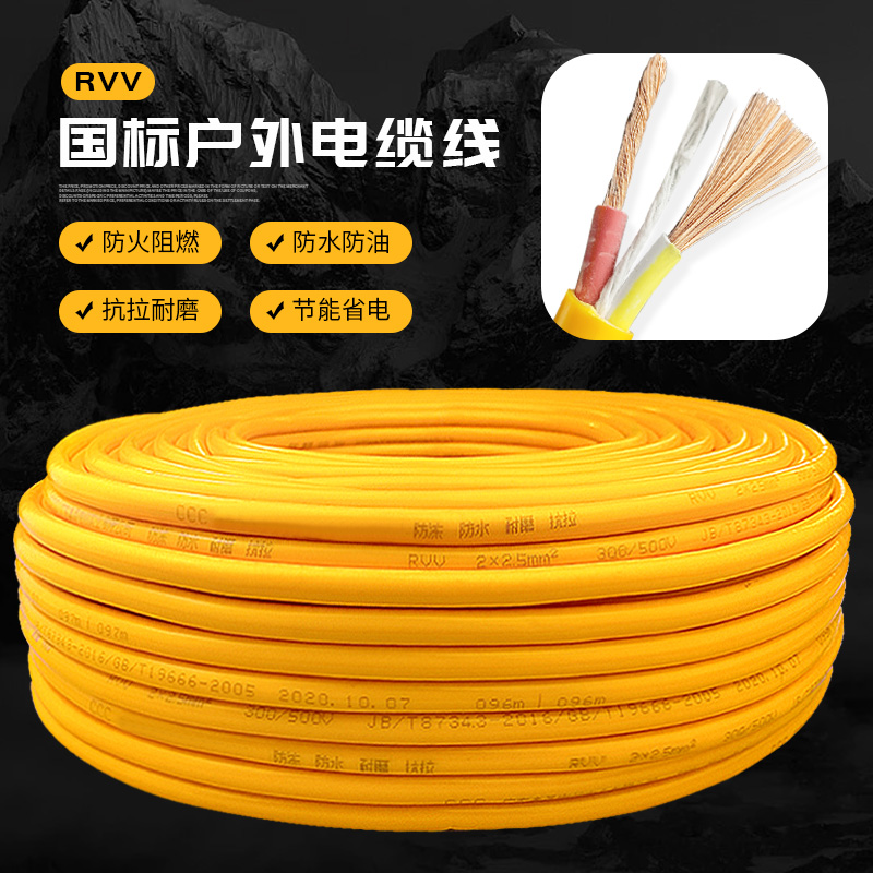 电线2芯1.5/2.5平方30/50米国标线径家用高楼层充电源线软电缆线