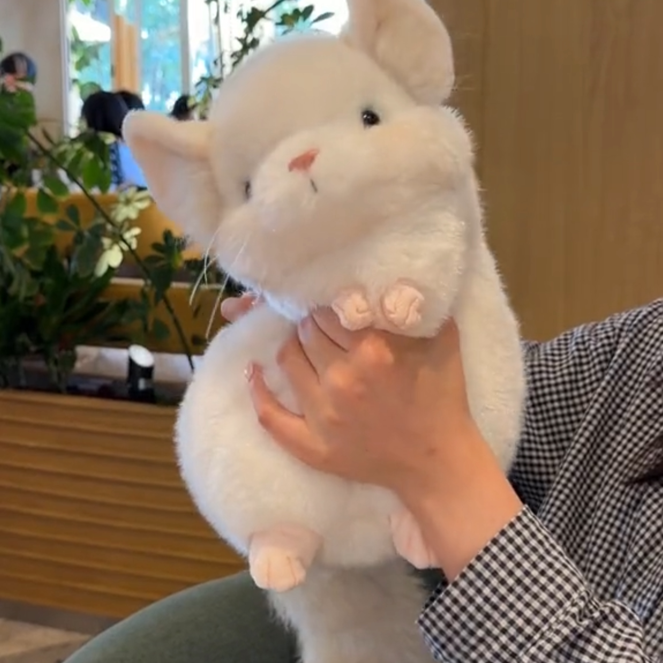 原创可爱龙猫解压公仔治愈玩偶毛绒玩具送女生闺蜜生日礼物阿贝贝