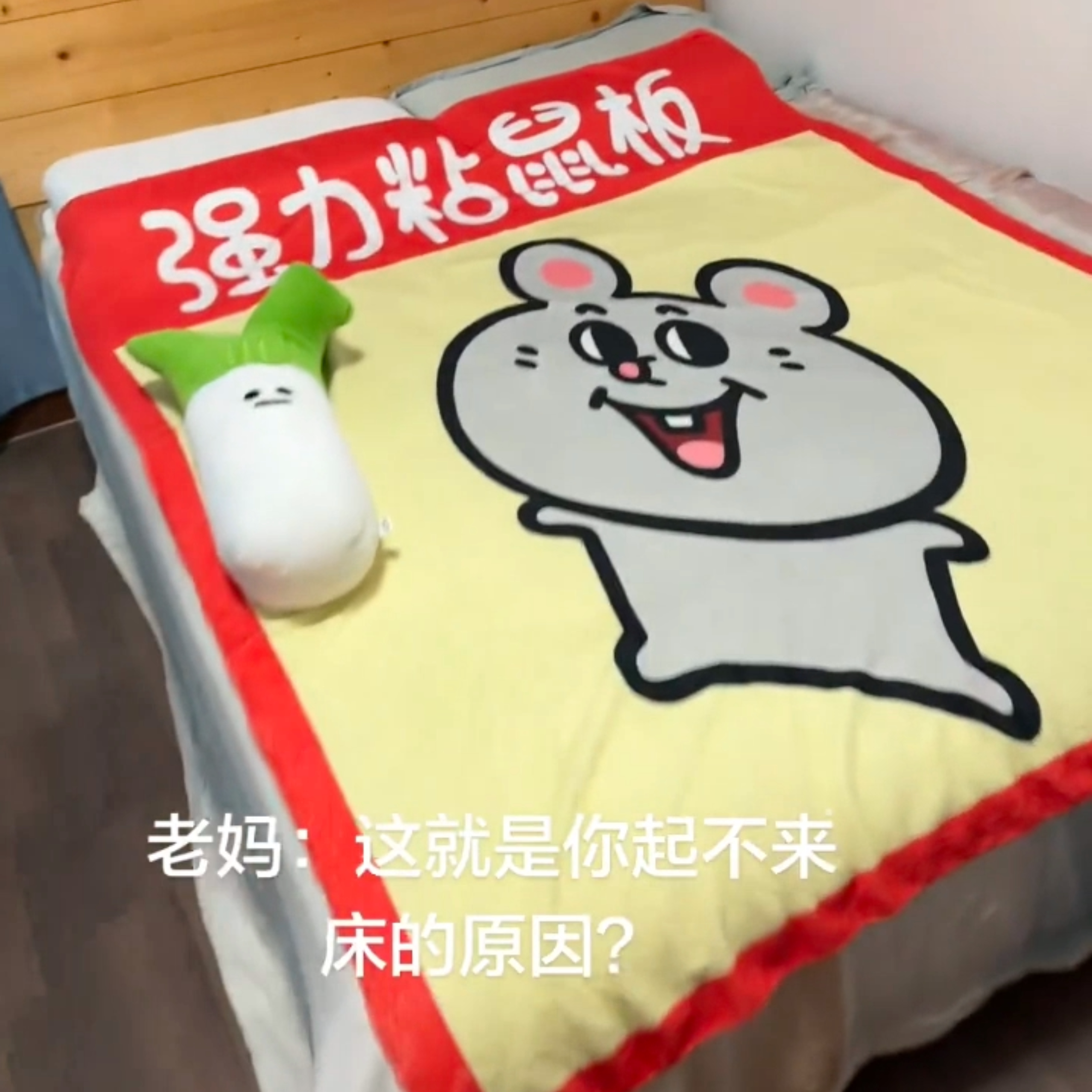 粘鼠板法兰绒毯子冬季加厚保暖宿舍学生单人盖毯个性创意毛毯教室