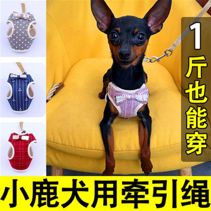 小鹿犬专用牵引绳幼犬小体狗狗遛狗绳胸背带背心小型犬用品大全