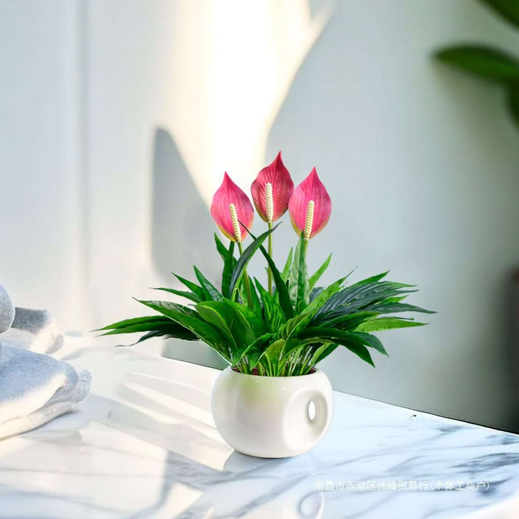 绿植白掌一帆风顺花塑料花假花绿植盆栽室内装饰摆件