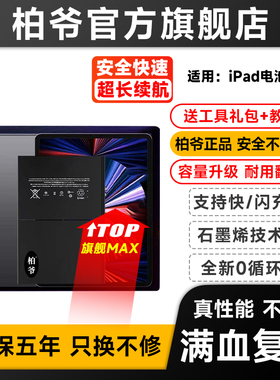 适用ipad2代/3/4/5/6/air2/3/5平板电池pro 9.7/10.5/11/12.9 一二代ipad mini2/3/4/5柏爷原装电池A1389电板