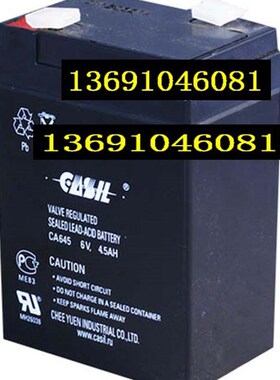 CASIL志源蓄电池 CA645 6V4.5AH CA648 6V4.8AH电子秤玩具车电池
