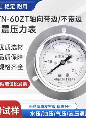 YTN-60ZT耐震压力表轴向带边面板安装冷库机组油液气压负压背接式