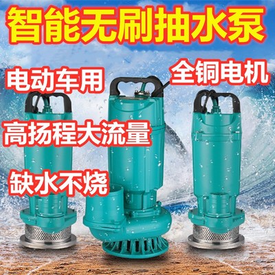 铜芯线抽水泵农用48V60V72伏直流灌溉高扬程大流量电动车取电潜水