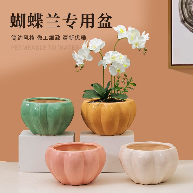 蝴蝶兰专用盆亚光花边简约透气家居创意植物花盆美观带托摆件桌面
