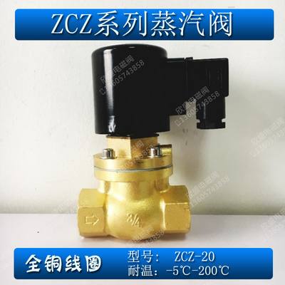 6分DN20蒸汽电磁阀ZCZ-20耐高温先导活塞式电磁阀常闭 220V 24V