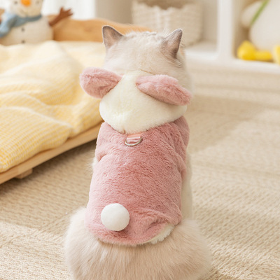 秋冬季可爱小动物两脚绒衣加厚保暖冬天猫咪服饰蓝猫幼猫宠物衣服