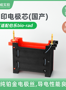 通用bio-rad伯乐小型转印 湿转转印电极芯电泳配件WB转印1703935