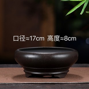 特价精品紫砂花盆景盆小多肉盆金C弹子黄杨梅花盆栽盆菖蒲云竹盆