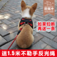 狗狗牵引绳背心式 胸背带中型大型犬金毛柯基遛狗绳拉W布拉多狗链