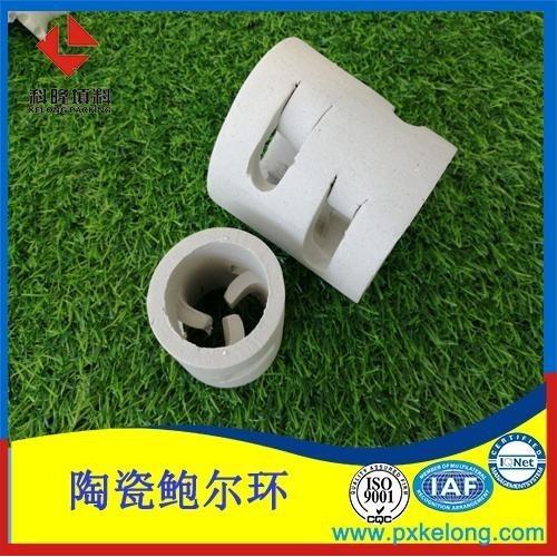 陶瓷鲍尔环填料现货库存厂家销售直径16-100都有货