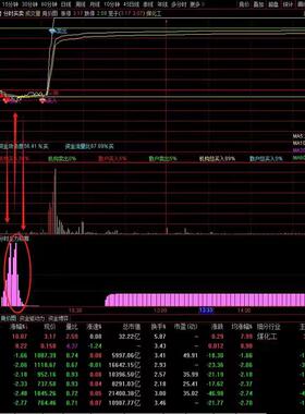 分时主力吸筹副图 抓住主力动向买在启动前 做T解套T+0 打板神器