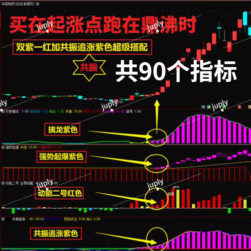 双紫擒龙 紫紫红黄 庄家控盘 分时主力吸筹 动能二号  三紫一红