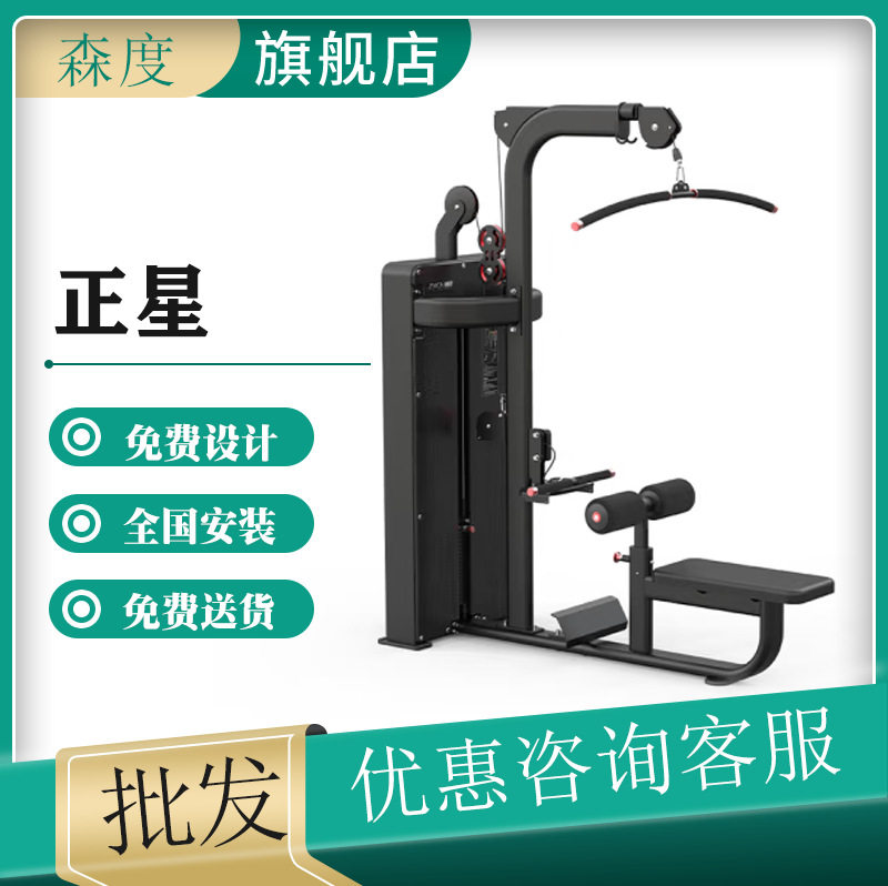 正星高低拉训练器坐式双握把多功能力量训练器J7706高级黑