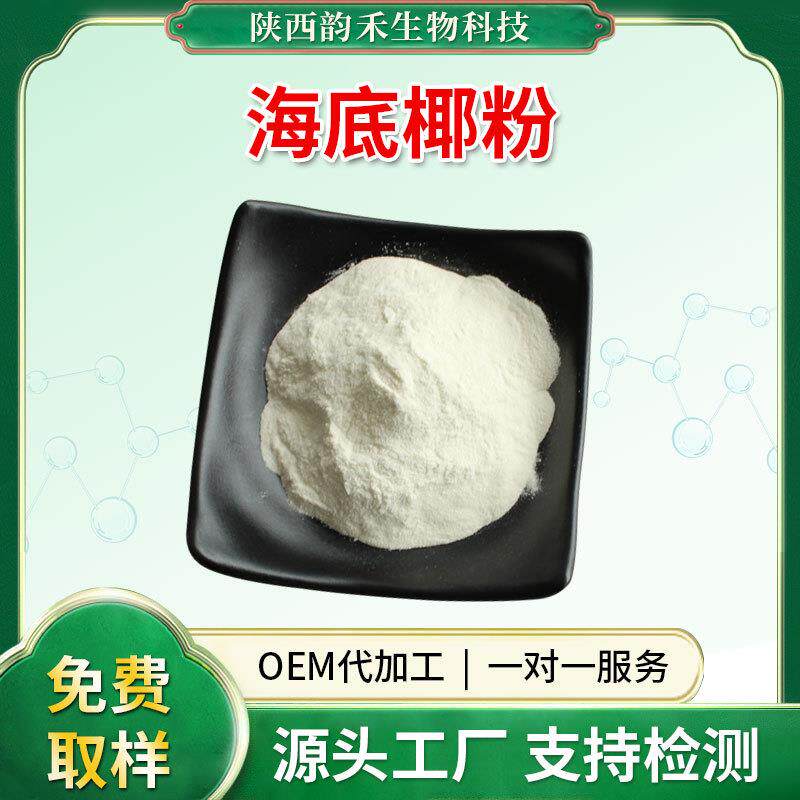 海底椰粉纯粉200目海底椰提取物直销当天发货500克/袋
