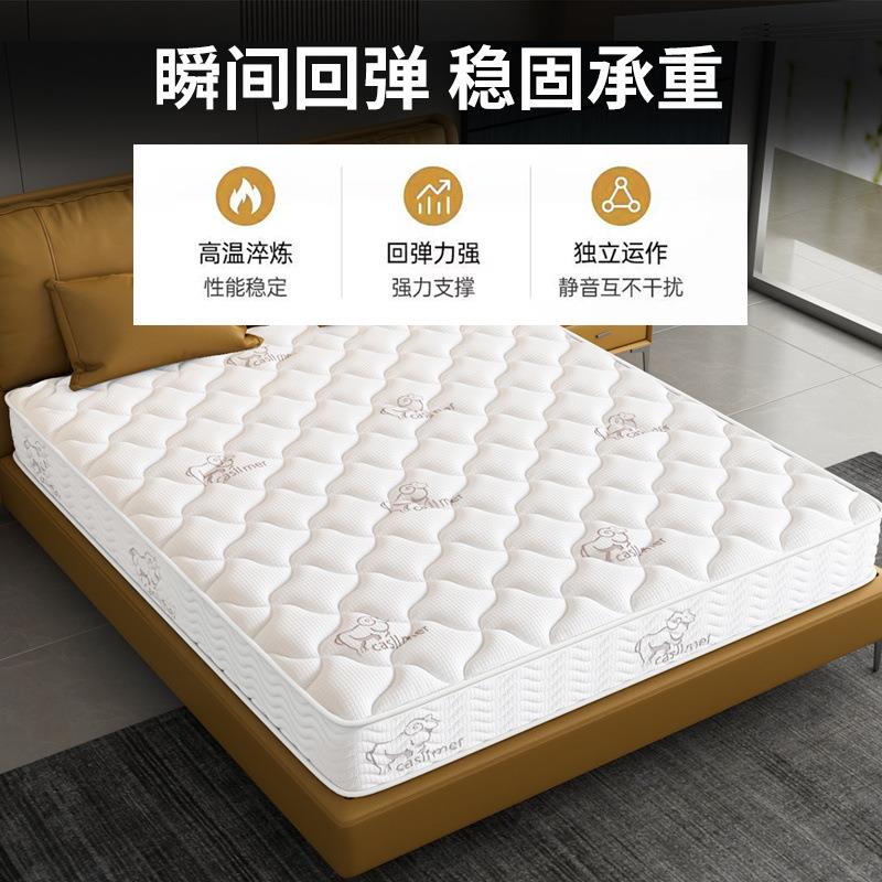 席梦思床垫家用软硬两用20cm厚双人1.8米1.5出租房经济型弹簧床垫