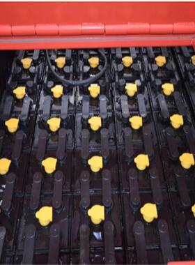 火炬48V420AH适配龙工电动叉车1.8吨蓄电池3PzS420