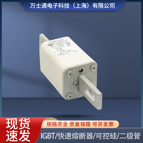 熔断器170M3689 170M3690/3691/3692/3693/3694/3695/3696/3697