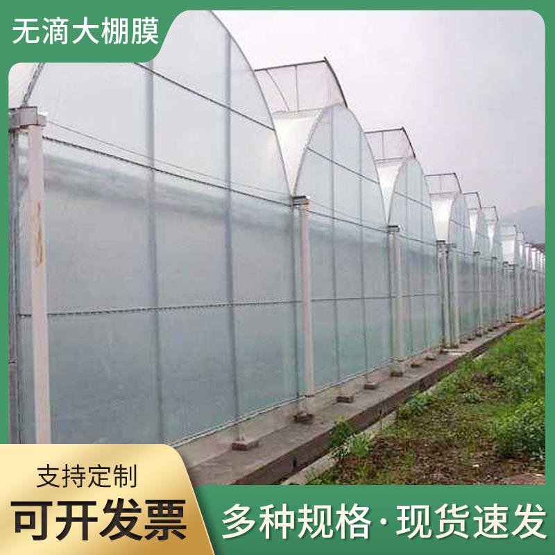 农用塑料无滴薄膜PE透明塑料布温室大棚膜包装加厚农膜