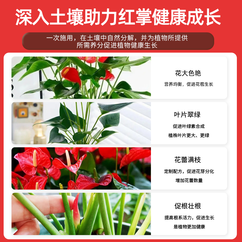 红掌专用肥料花肥火鹤氮磷复合肥促发芽盆栽开花肥颗粒缓释肥有机