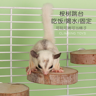 蜜袋鼯桉树枝除臭垫料磨牙零食桉树蜜花粉跳台蜜袋鼬小蜜玩具吊桥