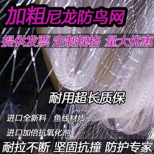 果园防鸟网樱桃树葡萄爬藤网果园樱桃园鱼塘农田网草防护天网
