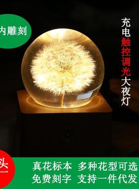 夜灯蒲公英标本水晶球小台灯触摸控制调光暖黄色树脂植物创意摆件