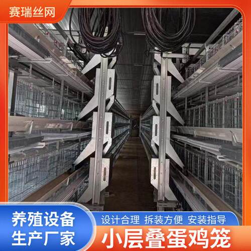 小层叠自动化蛋鸡笼清粪系统自动料线热镀锌养殖设备厂家