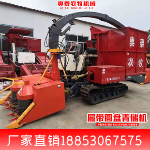 履带式圆盘割台青储机玉米大型地滚刀牧草收割机履带式剪刀青储机