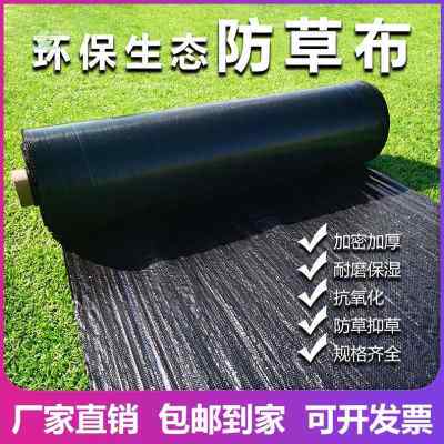 厂销防草布除草地f膜盖草布地布遮草布果园果树耐用园艺地钉大棚