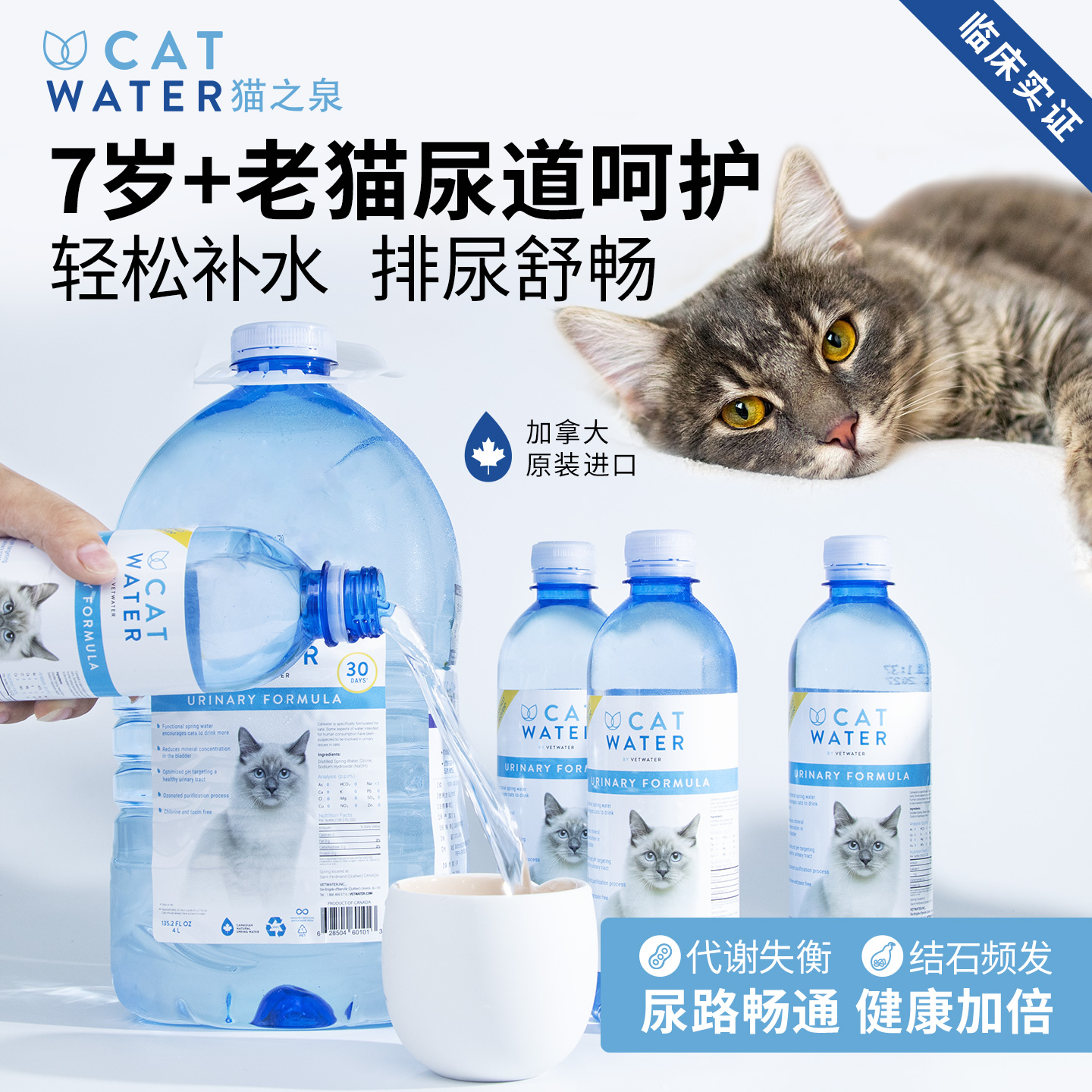 老年猫肾脏护理水术后康复4L猫水
