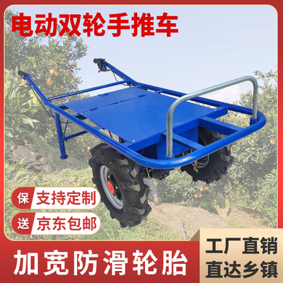 电动双轮鸡公车果园农用手推车运输车养殖三轮车工地爬坡两轮小推