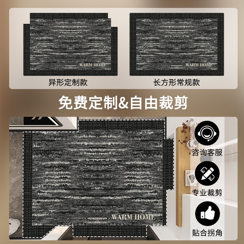 入户门地垫新g款家用简约高级感客厅玄关门口地毯耐脏免洗进门脚