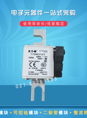 巴斯曼熔断器保险丝170M3123 3138 3139 3140 3141 3142 3143全新