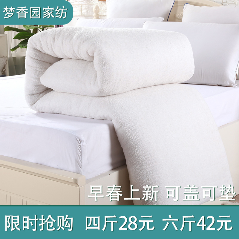 棉花被垫被铺底棉被网纱铺床被子棉花学生宿舍冬被春秋被芯铺盖