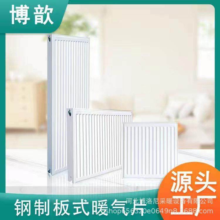 钢制板式暖气片家用水暖天然气壁挂炉SNGB/2/22散热器取暖器