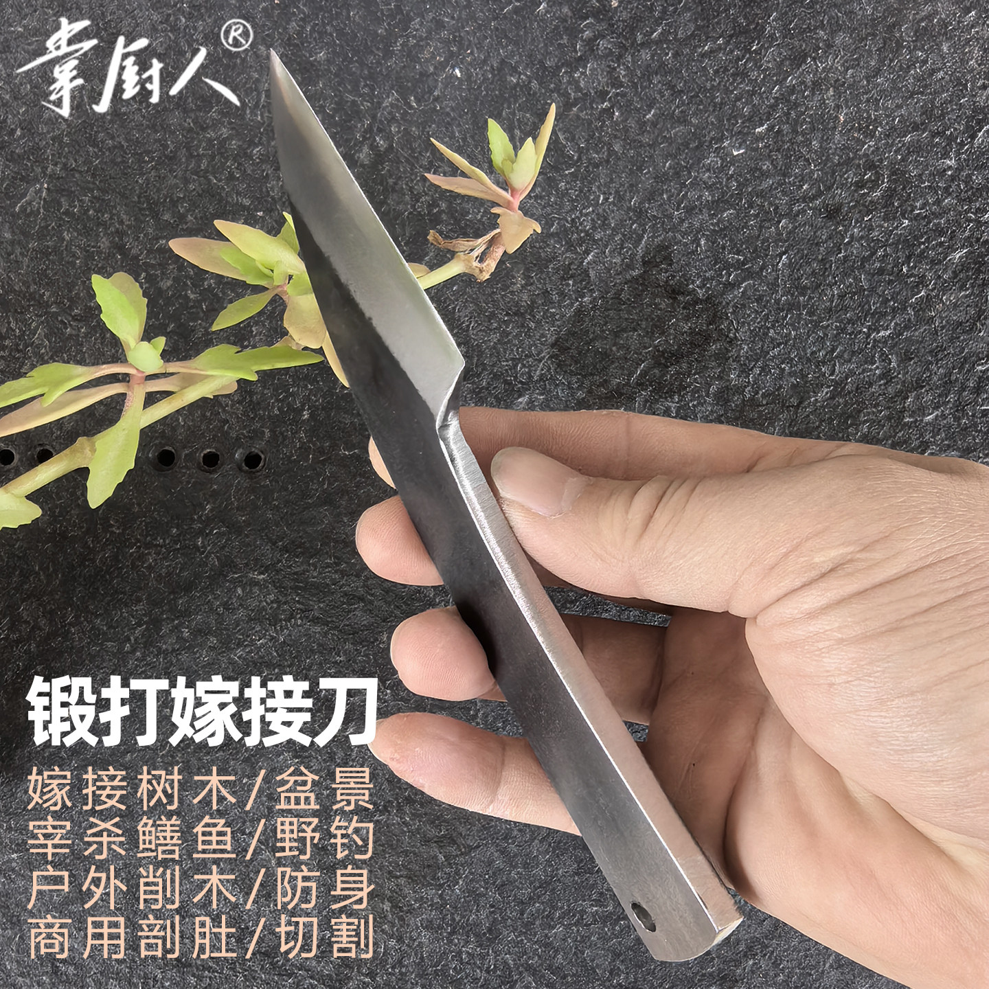 掌厨人锻打专用宰杀鳝鱼刀嫁接刀多功能户外生存防身小刀剖鱼切肉
