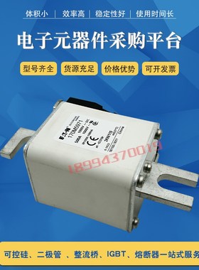 快速保险丝熔断f器170M5971 170M5972 170M5973 170M5974全新