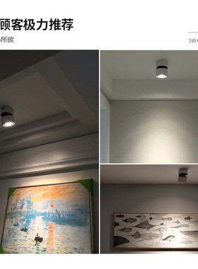 明装射灯可调角度照画灯走廊过道玄关灯黑色白色吸顶筒灯背景灯