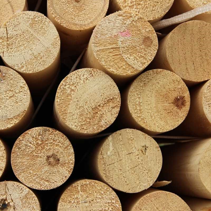 树木支撑固定器支撑杆固定器套杯绑带园林植物防风防倒支撑架支架