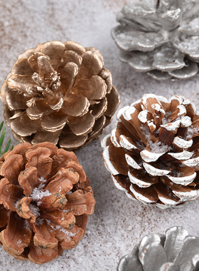 圣诞橱窗装饰品圣诞树挂饰金银白色松果造型装扮用品单袋出售150G