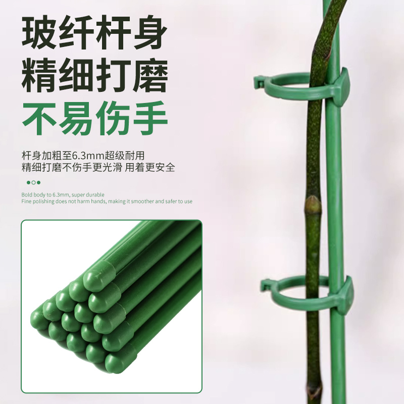 西红柿番茄辣椒固定杆爬藤吊兰园艺花架花支撑架植物防倒伏支撑杆