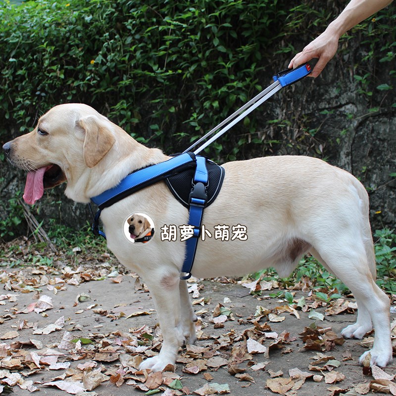 狗狗胸背带中大型犬防爆冲牵引绳金毛拉布拉多遛狗绳狗链狗背心